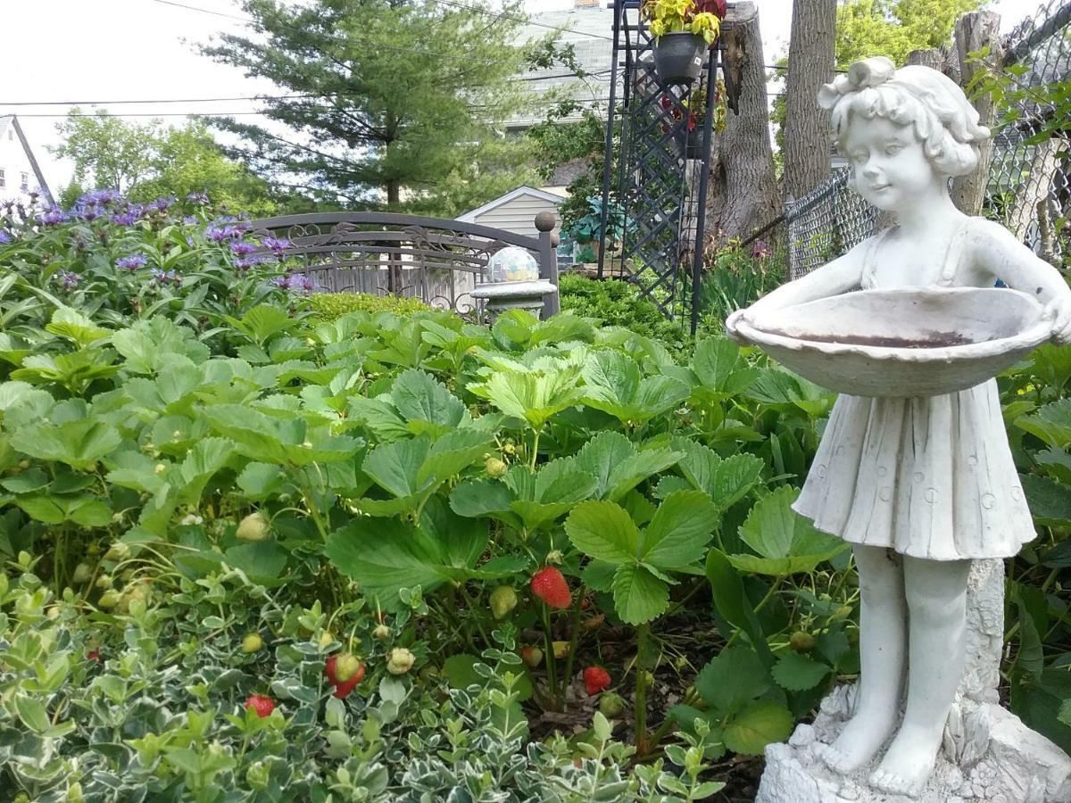 Hanover House Bed And Breakfast Niagara Şelalesi Dış mekan fotoğraf
